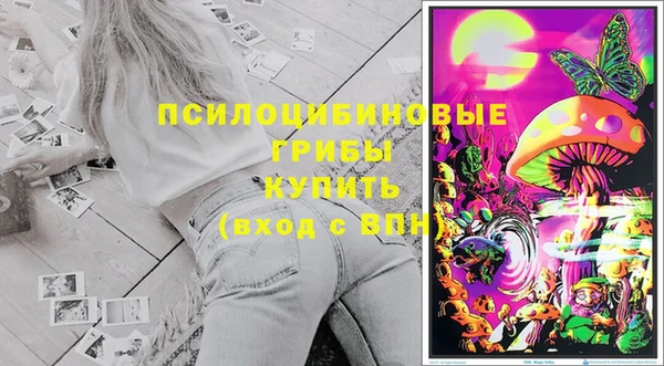 МДПВ Бугульма