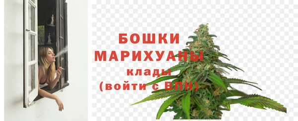 МДПВ Бугульма