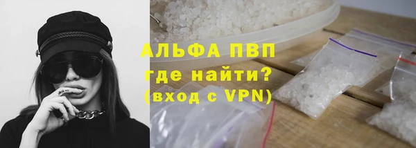 СК Бронницы