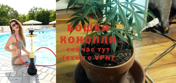 СК Бронницы