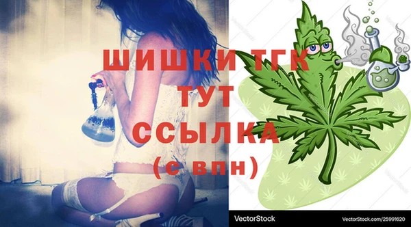 СК Бронницы