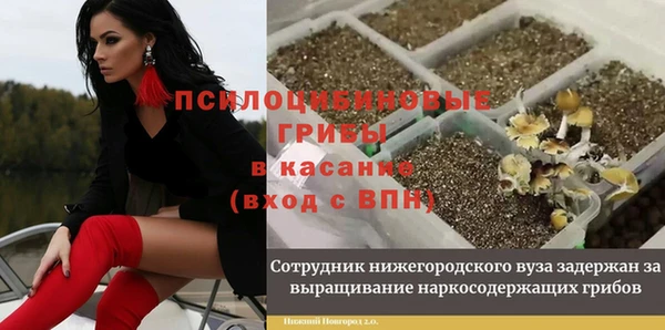 СК Бронницы