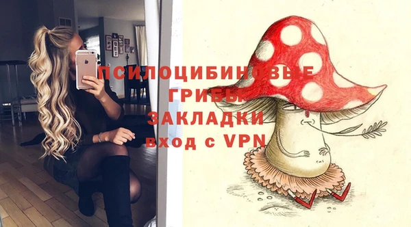 СК Бронницы